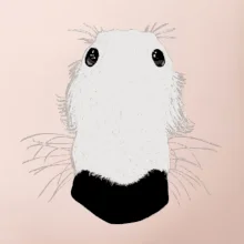 Barzoj čumák (Moňas)