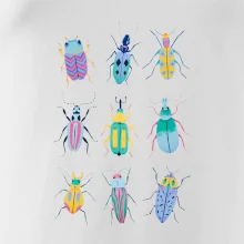 Farebné chrobáky (studio-arte.cz)