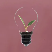 Žiarovka kvetináč