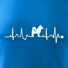 Shiba-Inu EKG Shiba-Inu EKG