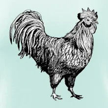 Kohút kreslený čiernobiely