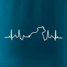 Stafordšírsky bulteriér ‎ EKG