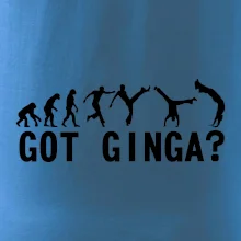 Capoeira - Got Ginga