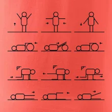 Fyziológia cviky Fyziológia cviky