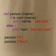 Python I am cool, You are not cool