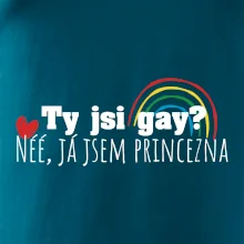 Gay princezna Gay princezna