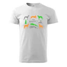 Whippet farebný