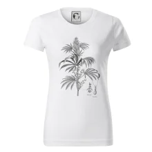 Konope kvietok čiernobiely  