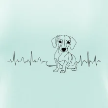 EKG krivka jazvečík