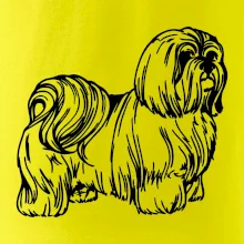 Shih-tzu - chlpatý