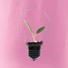 Žiarovka kvetináč