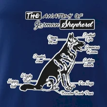 Nemecký ovčiak - Anatómia Nemecký ovčiak - Anatómia