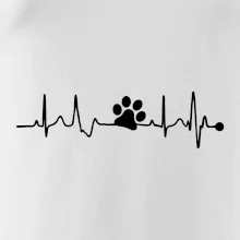 Ekg psia labka Ekg psia labka