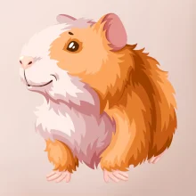 Morča - kreslené, bielo oranžové