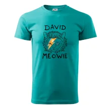 David Meowie