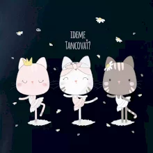 Mačka Ideme tancovať Mačka Ideme tancovať