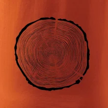 Letokruhy 80 bez veku