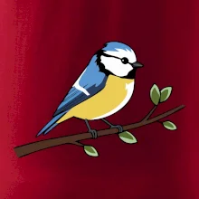 Sýkorka modrinka na vetve