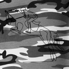 Jazda na koni jedným ťahom