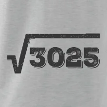 Narodeniny odmocniny 55