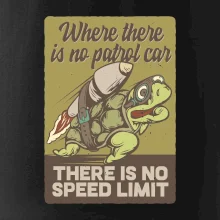 Korytnačka na cestách