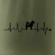 Shiba-Inu EKG