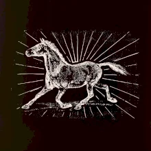 Kôň a lúče Kôň a lúče