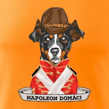Napoleon domáci kríženec