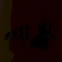 Evolúcia agility žena