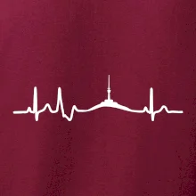 Ekg Jeseníky Ekg Jeseníky