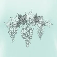 Hrozno šedé Hrozno šedé