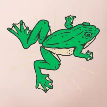 Žaba zelená kreslená