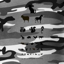 Očný test zvieratká