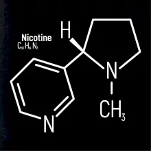 Molekulárna štruktúra Nikotín