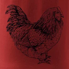 Sliepka čiernobiela