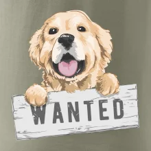 Zlatý retriever - šteniatko wanted