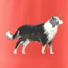 Border kólia kreslená