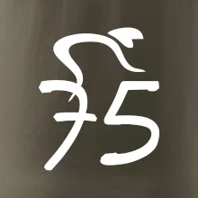 Cyklista oslavuje sedemdesiatpäťpäťky (75)