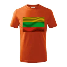 Litva vlajka obdĺžnik