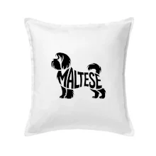 Maltézsky psík nápis v tele
