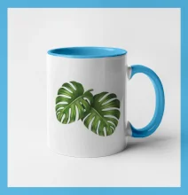 Monstera - dva listy