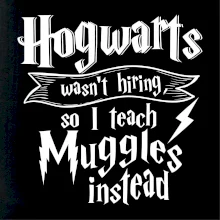Harry - Hogwarts wasn’t hiring, so I teach Muggles instead