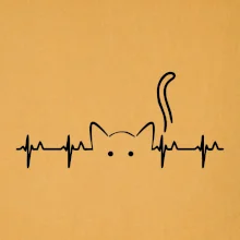 Mačka EKG