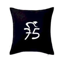 Cyklista oslavuje sedemdesiatpäťpäťky (75)