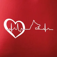 Nemecký ovčiak ekg