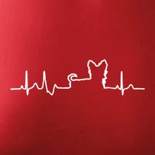 Yorkshirský teriér EKG Yorkshirský teriér EKG