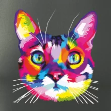 Mačka dúhová hlava