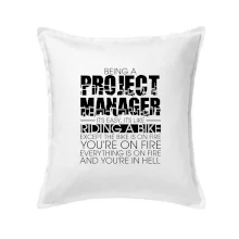 Being A Project Manager - bike