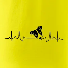 Jack Russell Terriér Ekg