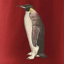 Tučniak kreslený vodovými farbami